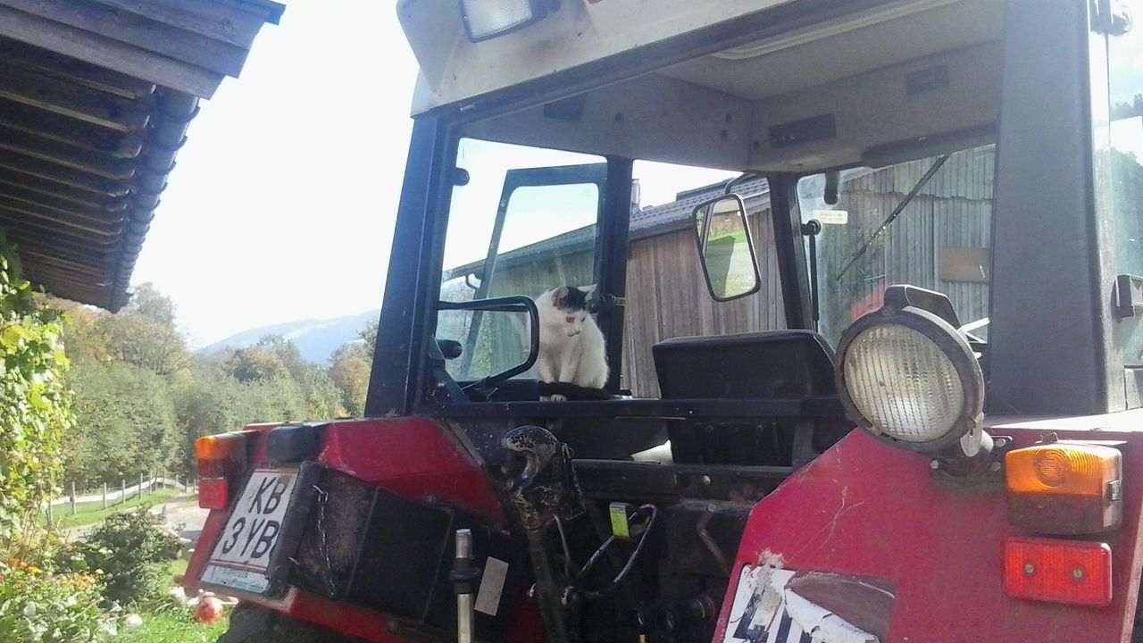 Katze auf dem Traktor Katze auf dem Traktor